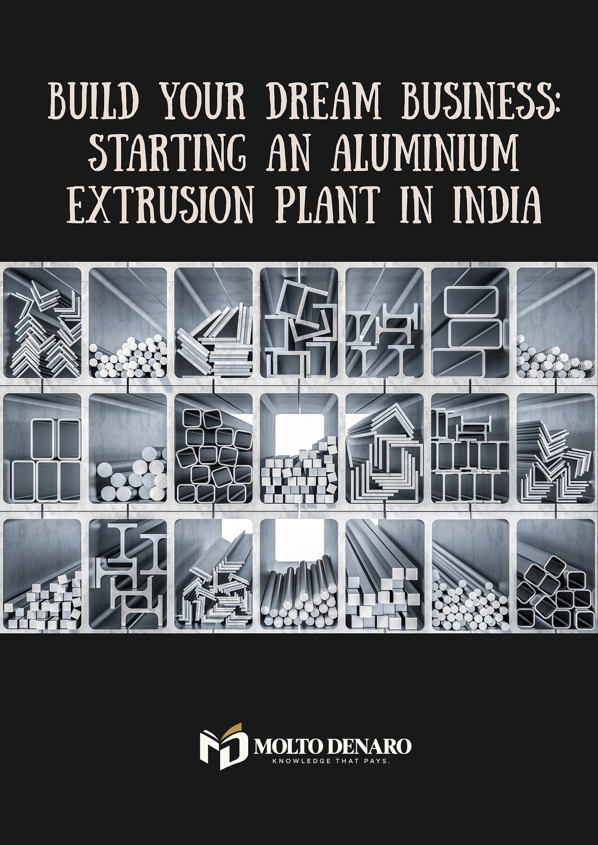 MOLTO DENARO book cover: Starting an Aluminium Extrusion Plant in India, industrial manufacturing startup guide